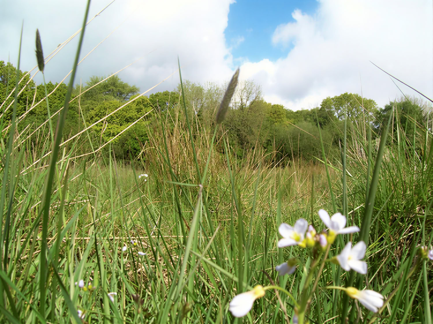 Stilte en Rust: Vipassana-retreat
