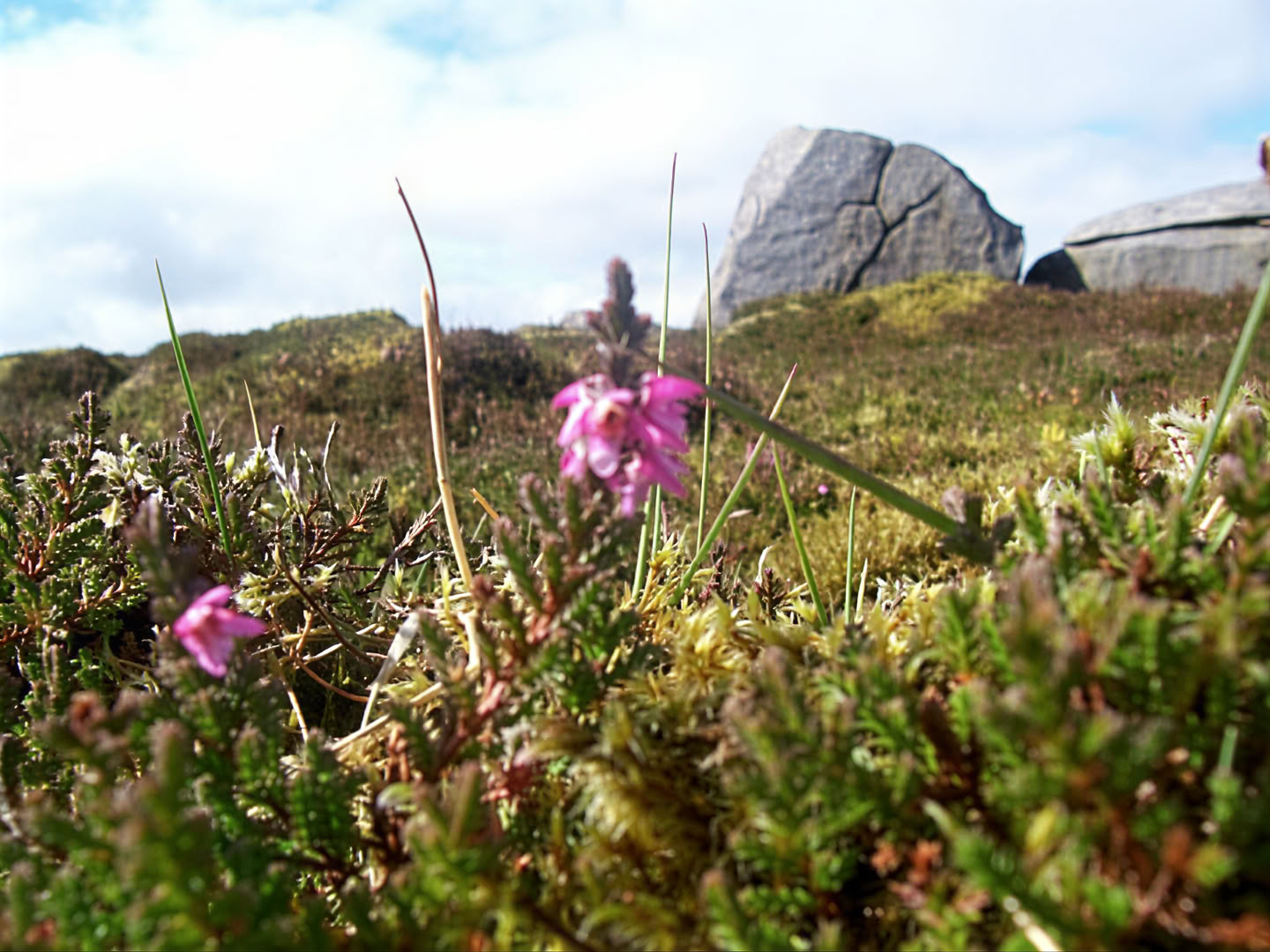 Stilte en Rust: Vipassana-retreat