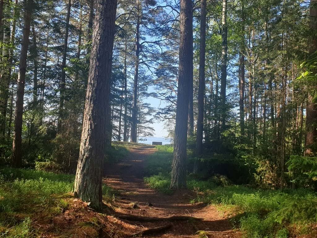 6-daagse therapeutische kunst- en yogawellnessretreat