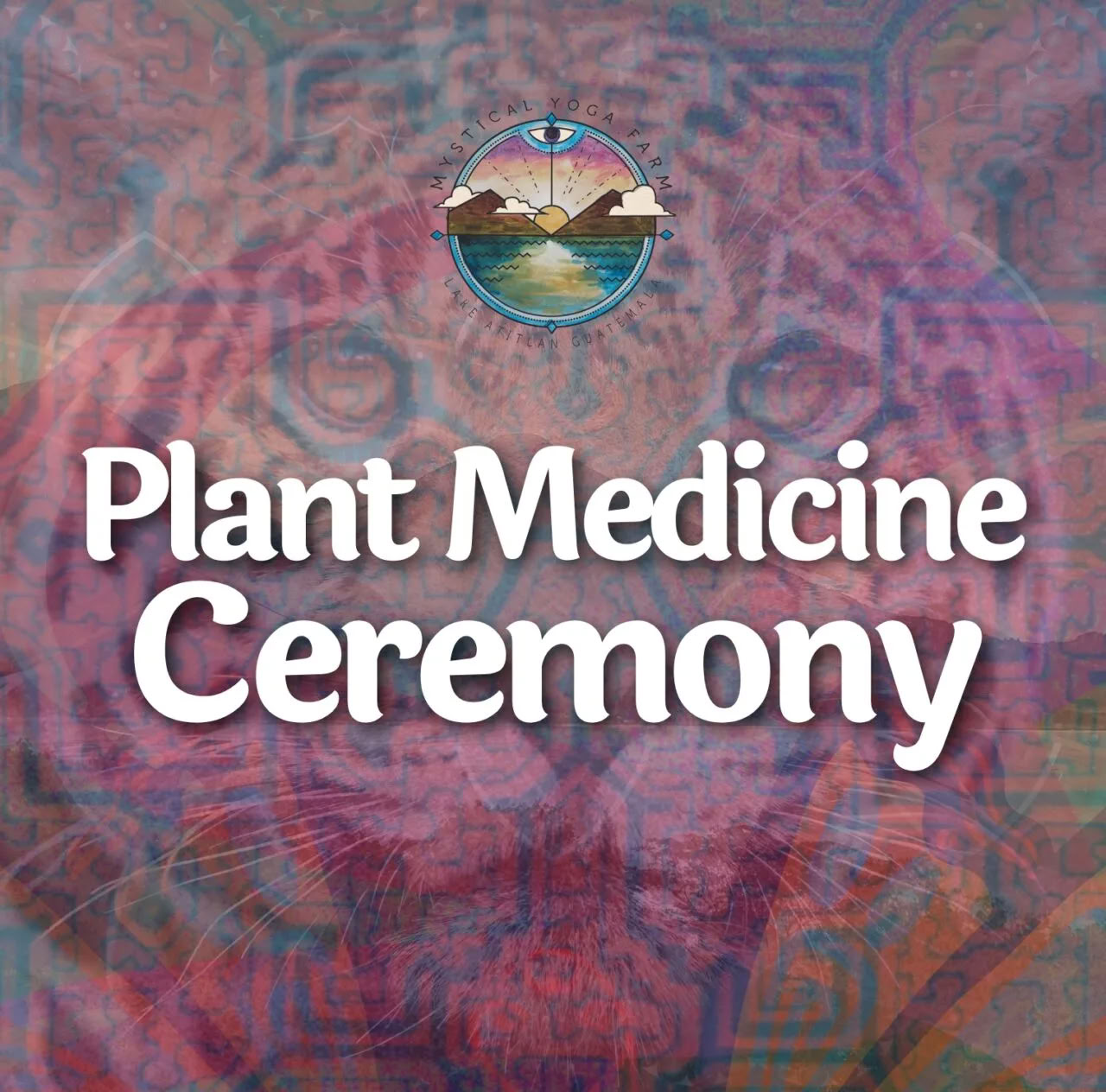 Plantenmedicijnceremonies