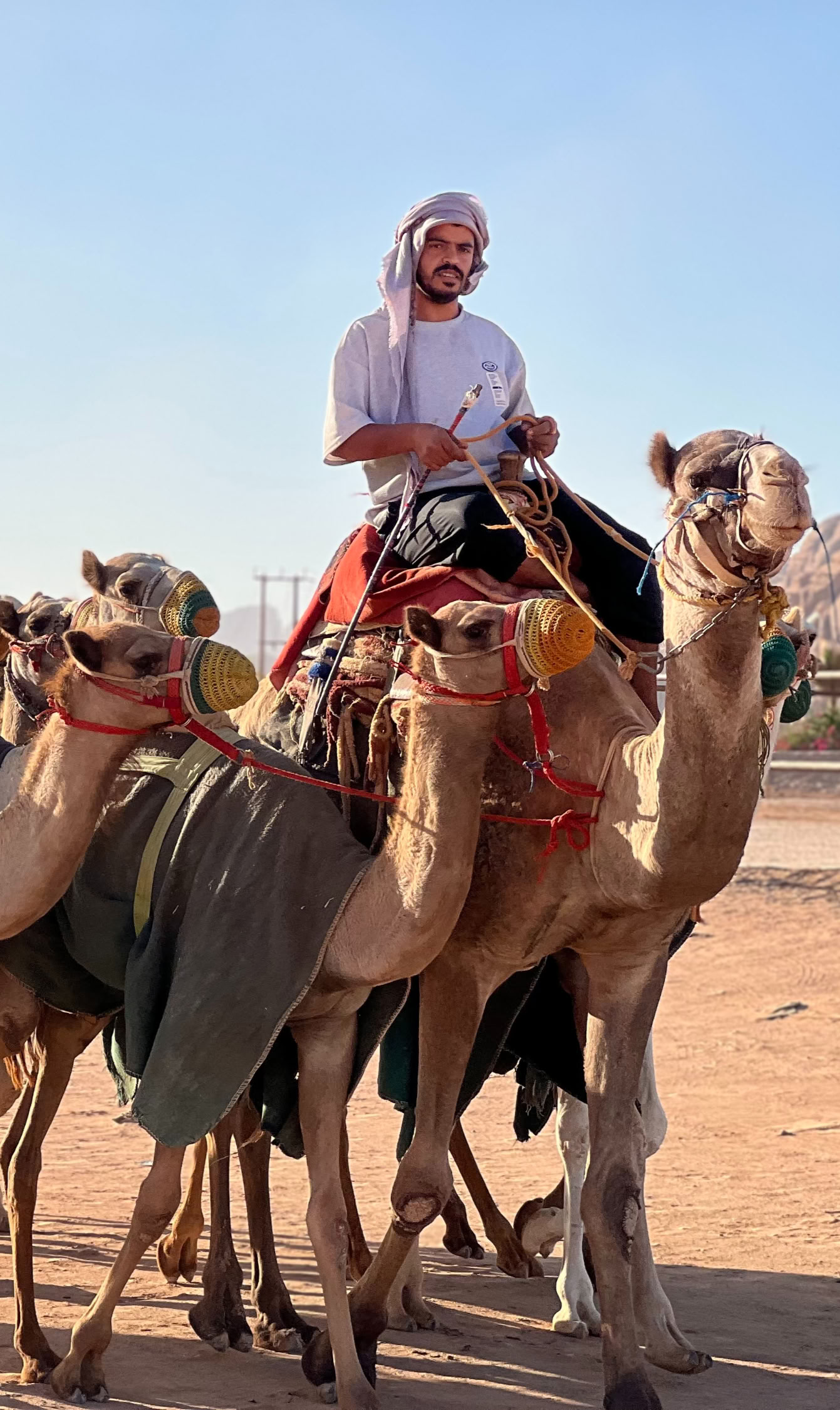 5-daagse rondreis door Jordanië