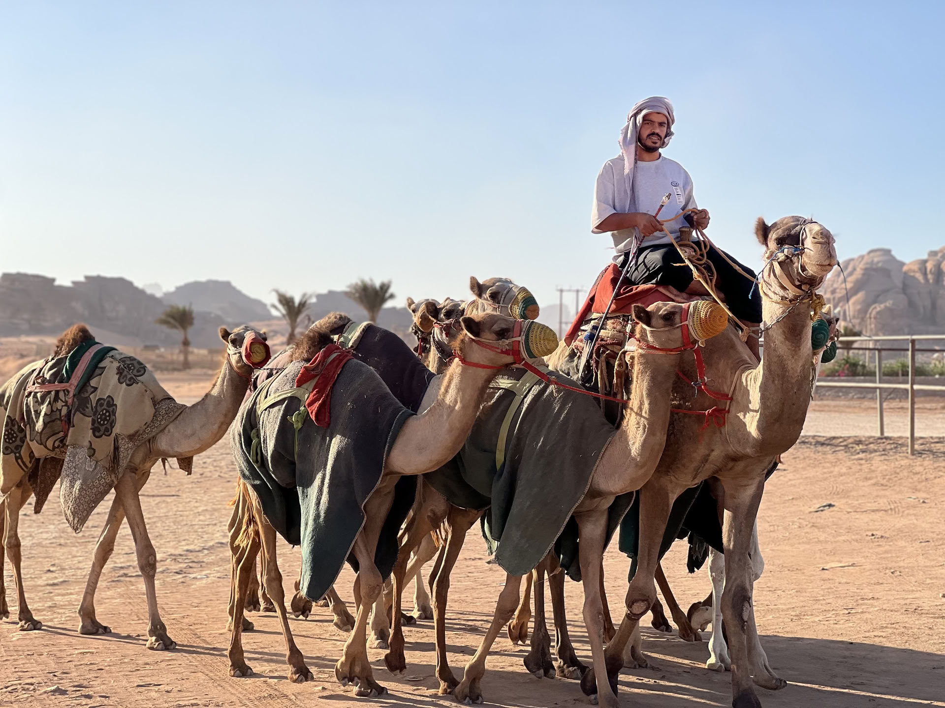4-daags kameeltrekavontuur met bedoeïenen in Wadi Rum, Jordanië