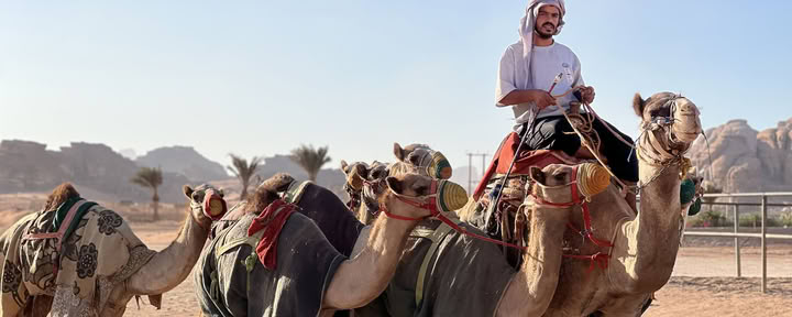 4-daags kameeltrekavontuur met bedoeïenen in Wadi Rum, Jordanië