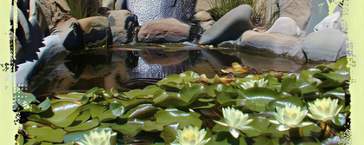 Yoga en de kunst van mindful koken
