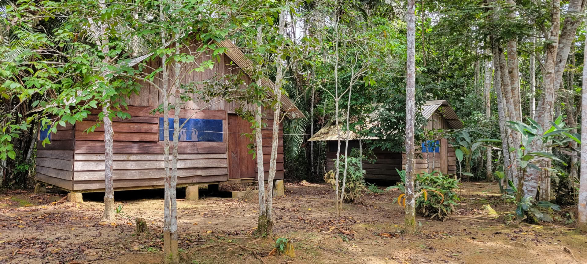 Ayahuasca-retreat in Iquitos