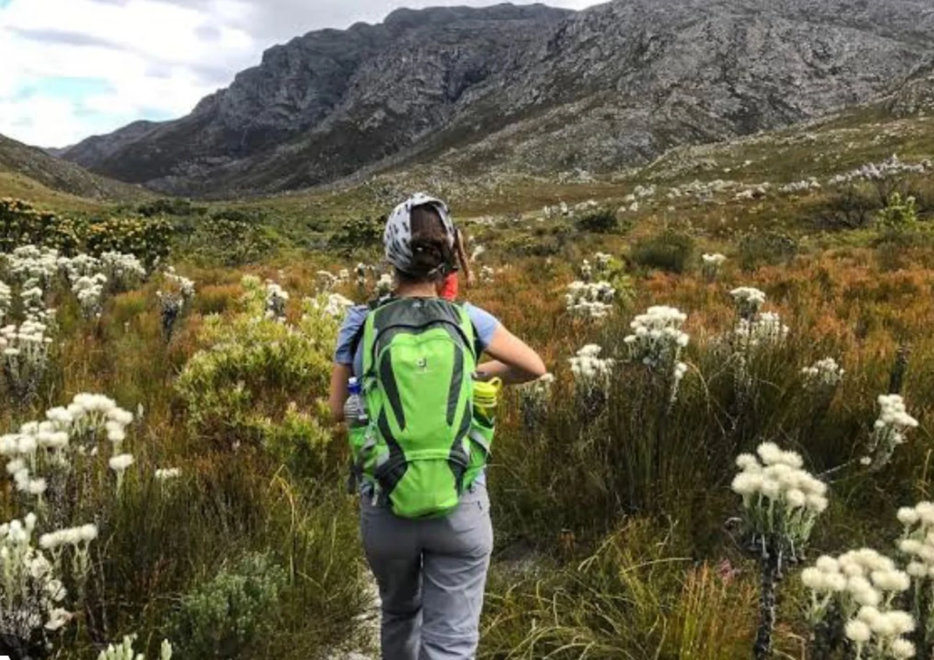 De wilde bloemenwandeling