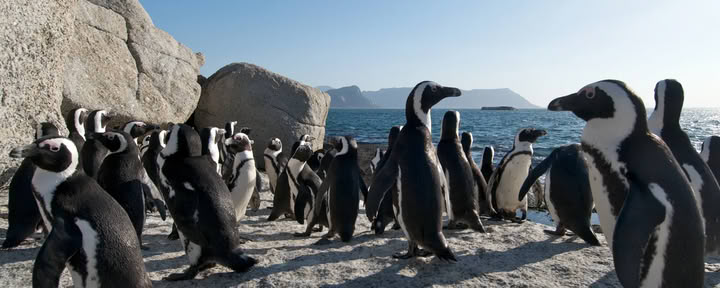 SUP-safari & wandelretreat