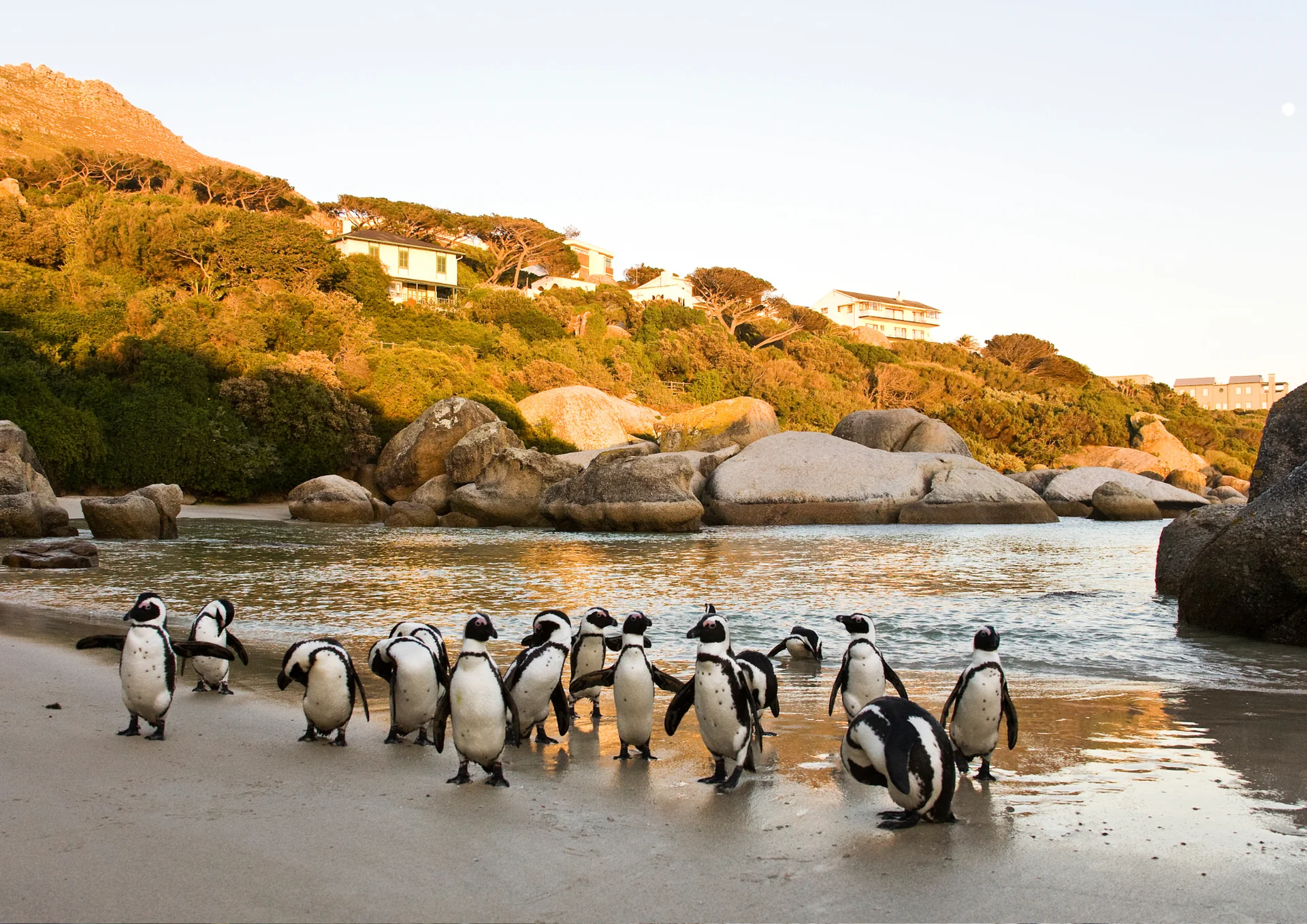 SUP-safari in Kaapstad