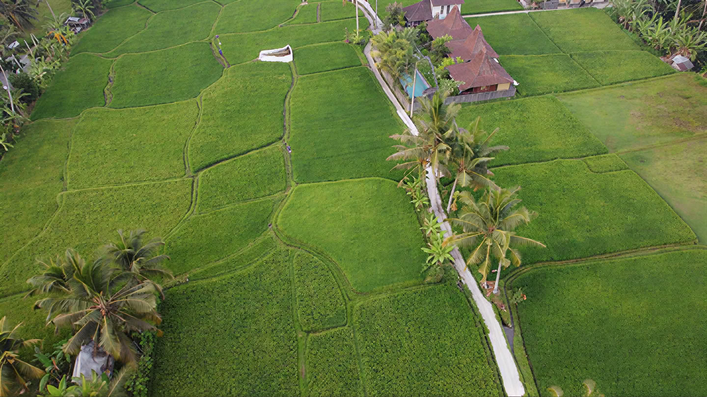 Jouw week bij een yoga-retreat op Bali