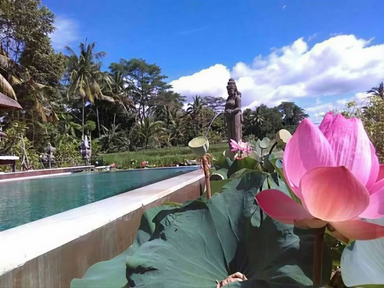Jouw week bij een yoga-retreat op Bali