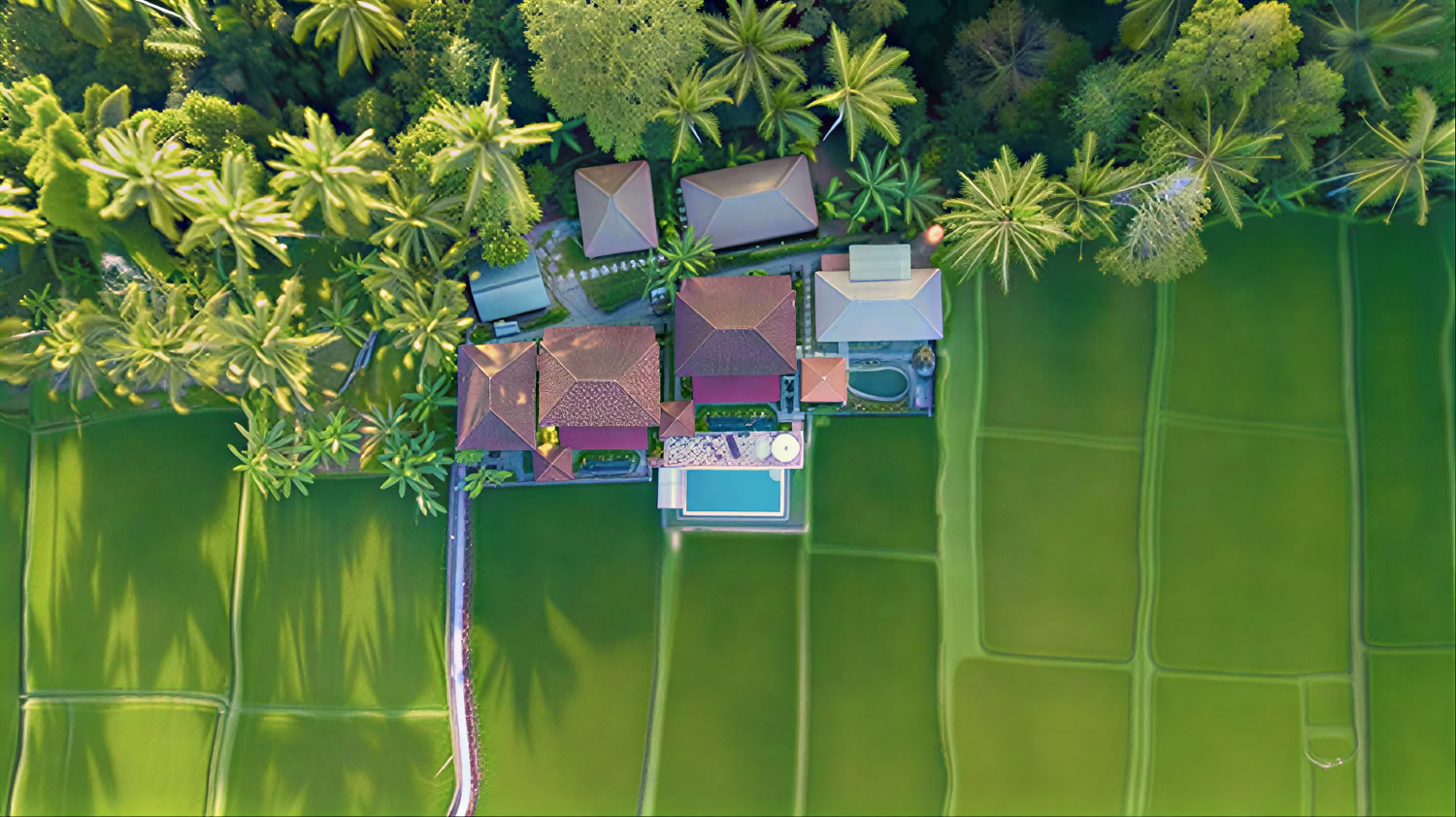 Onvergetelijke 7-daagse yogaretraite in Firefly Retreat Bali