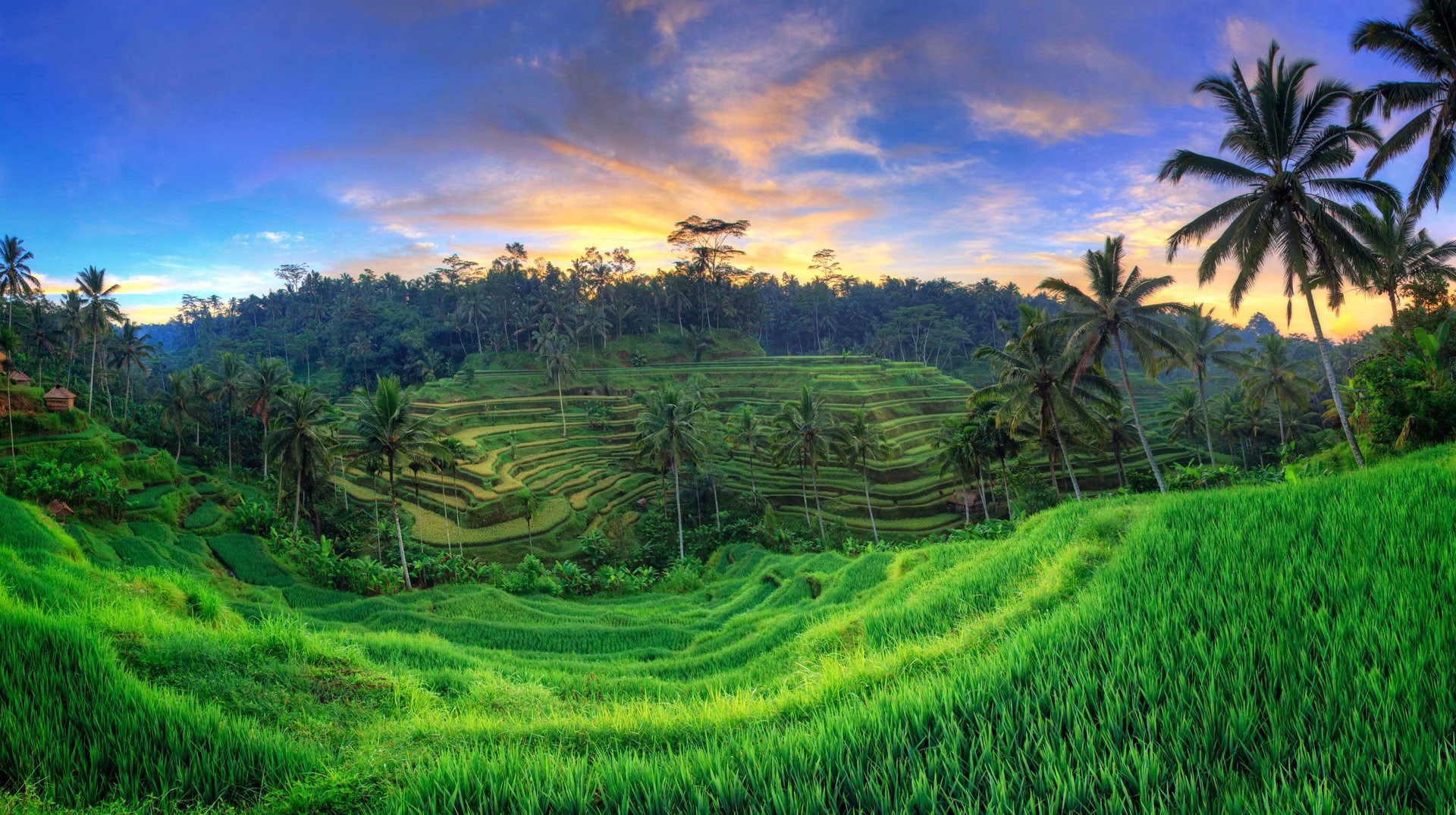 Onvergetelijke 7-daagse yogaretraite in Firefly Retreat Bali