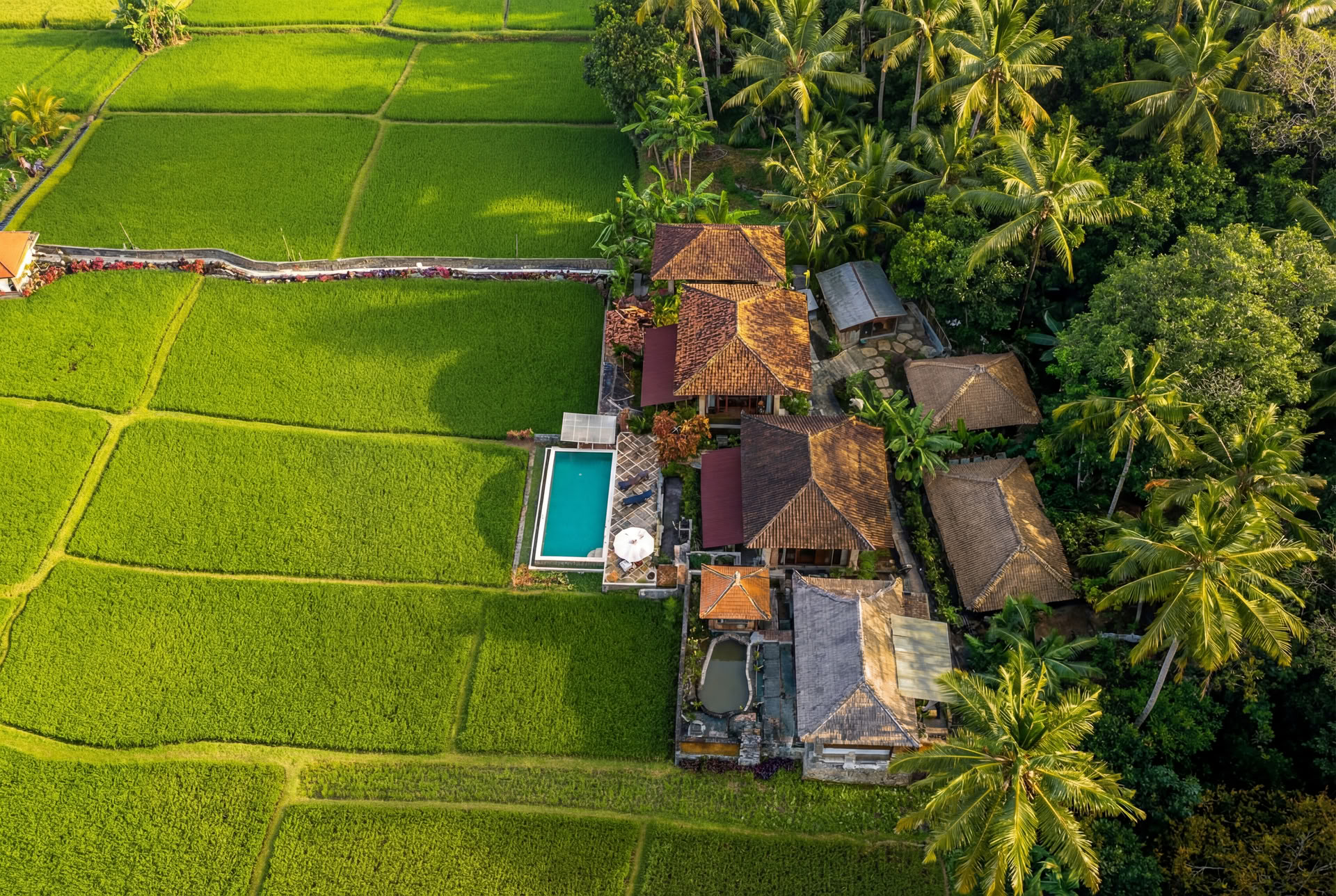 Onvergetelijke 7-daagse yogaretraite in Firefly Retreat Bali