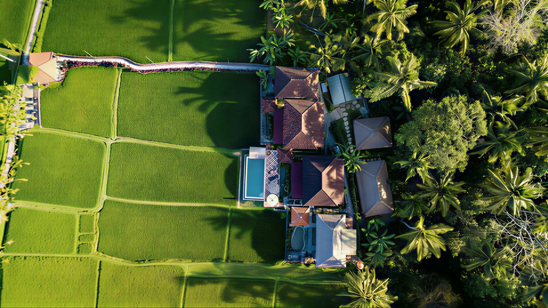 Onvergetelijke 7-daagse yogaretraite in Firefly Retreat Bali