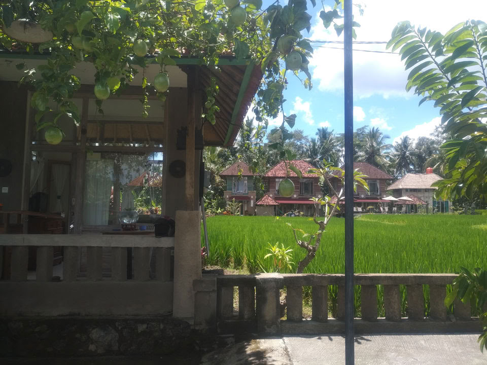 Onvergetelijke 7-daagse yogaretraite in Firefly Retreat Bali