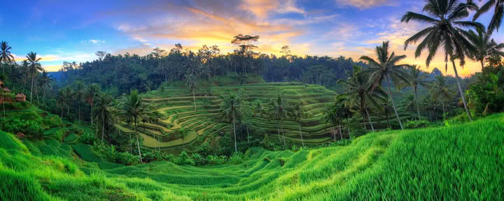 Onvergetelijke 7-daagse yogaretraite in Firefly Retreat Bali