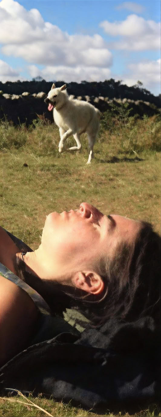 De kunst van massagecursus