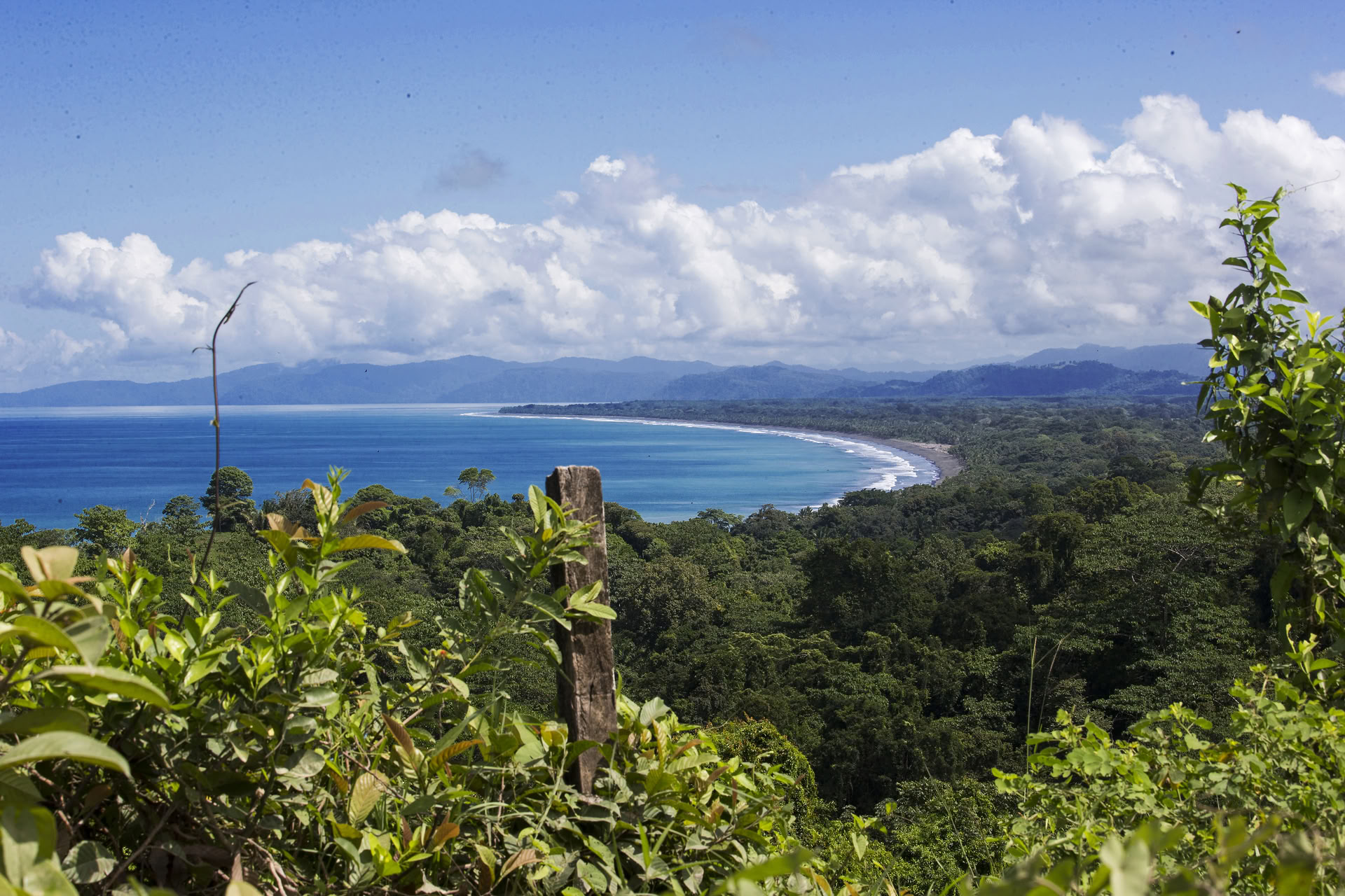 Strandyogatoer