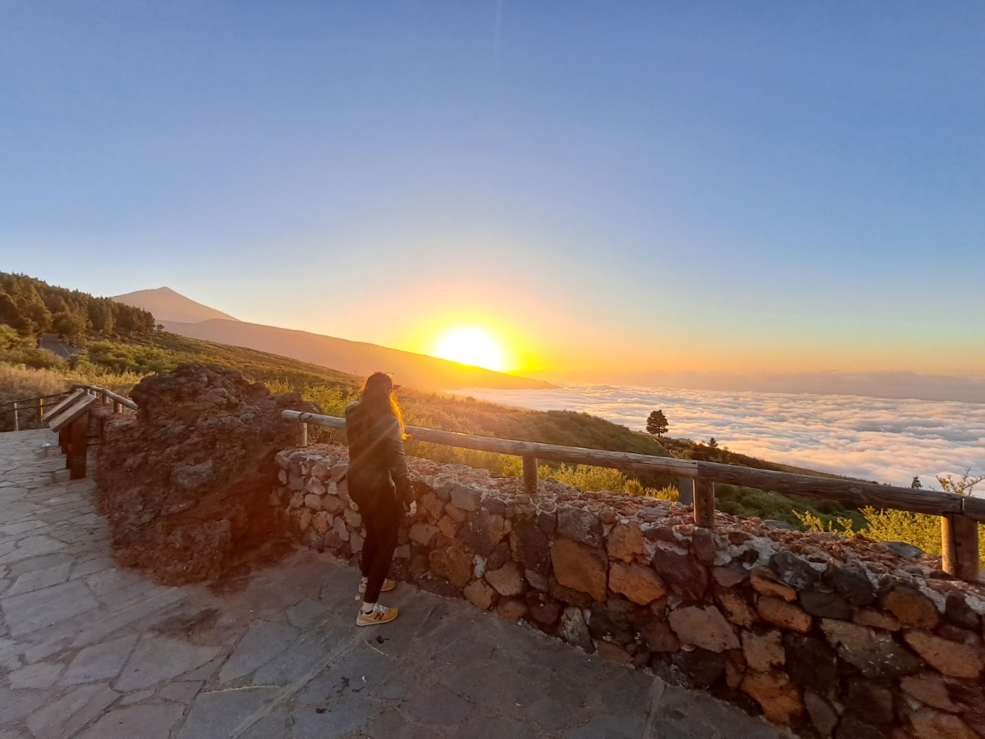 Stress- en emotiemanagement op basis van mindfulness en qigong