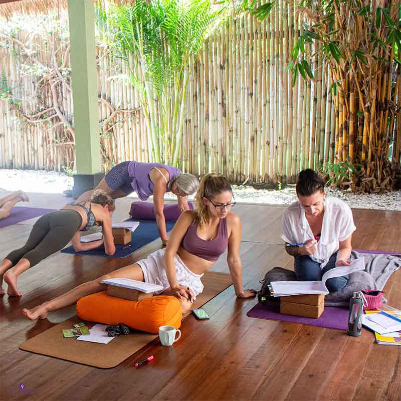110 uur anatomie- en vinyasa-yogadocentenopleiding