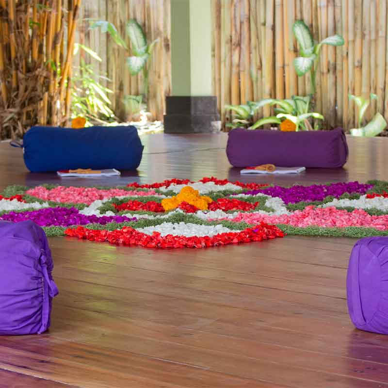 110 uur anatomie- en vinyasa-yogadocentenopleiding
