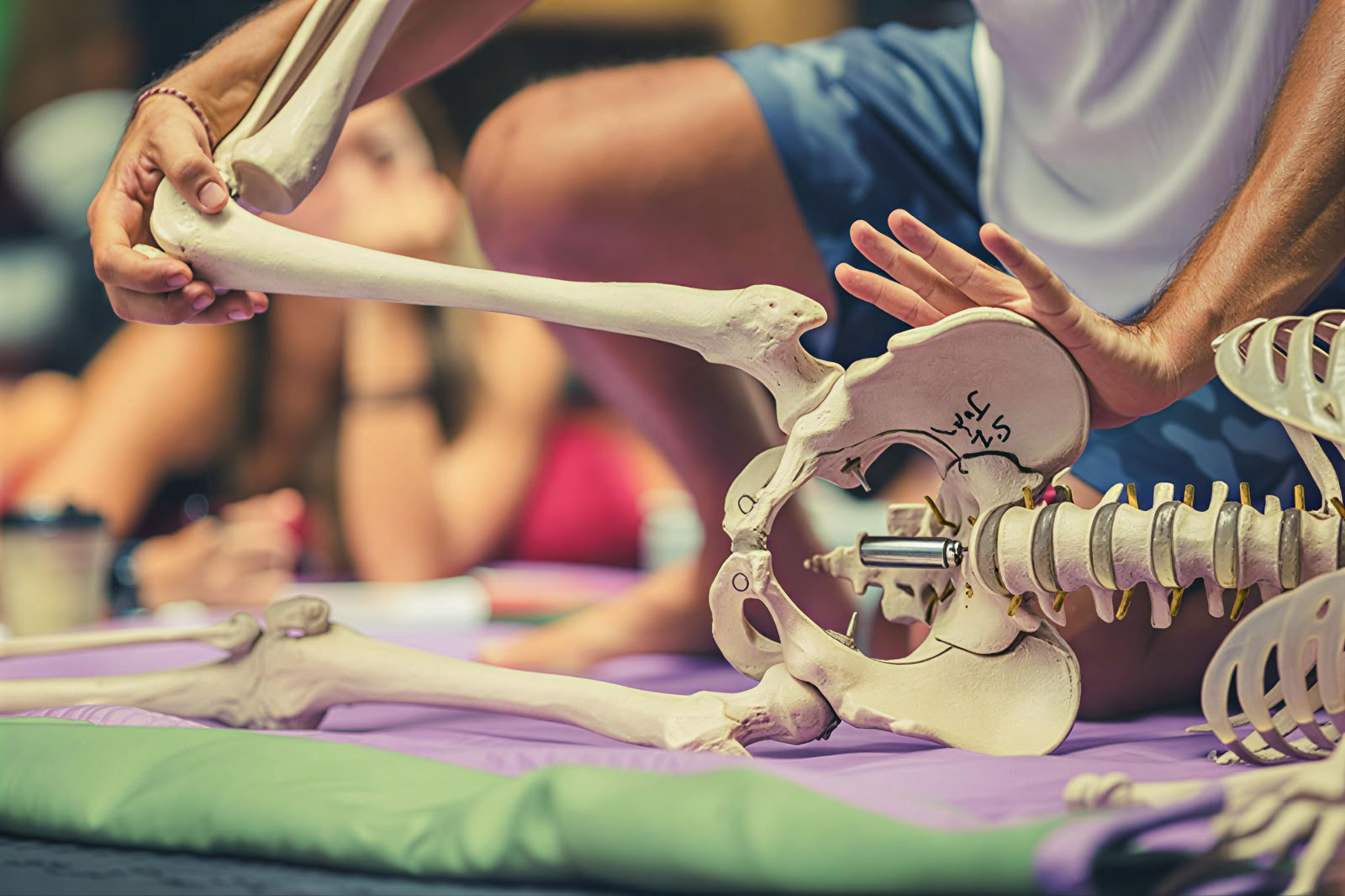 Fascia-universum 125 uur geavanceerde yoga- en somatische training