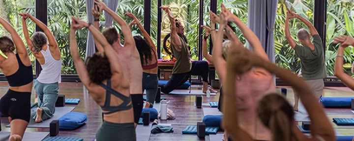 Fascia-universum 125 uur geavanceerde yoga- en somatische training