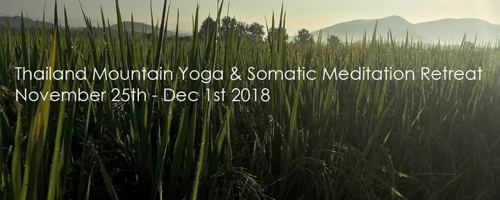 Somatische Meditatie Yoga Retreat Chiang Mai, Thailand