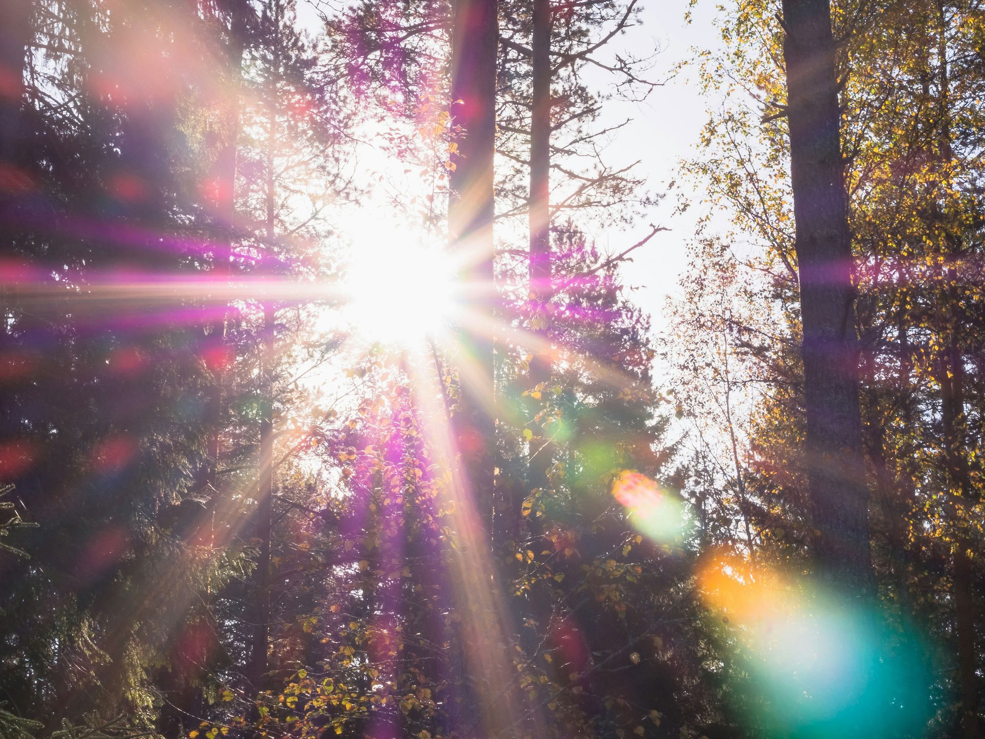 Sistertalk Retreats - Late Zomergloed: Mineralen/Natuur Element Retreat — Wild Nature Retreats