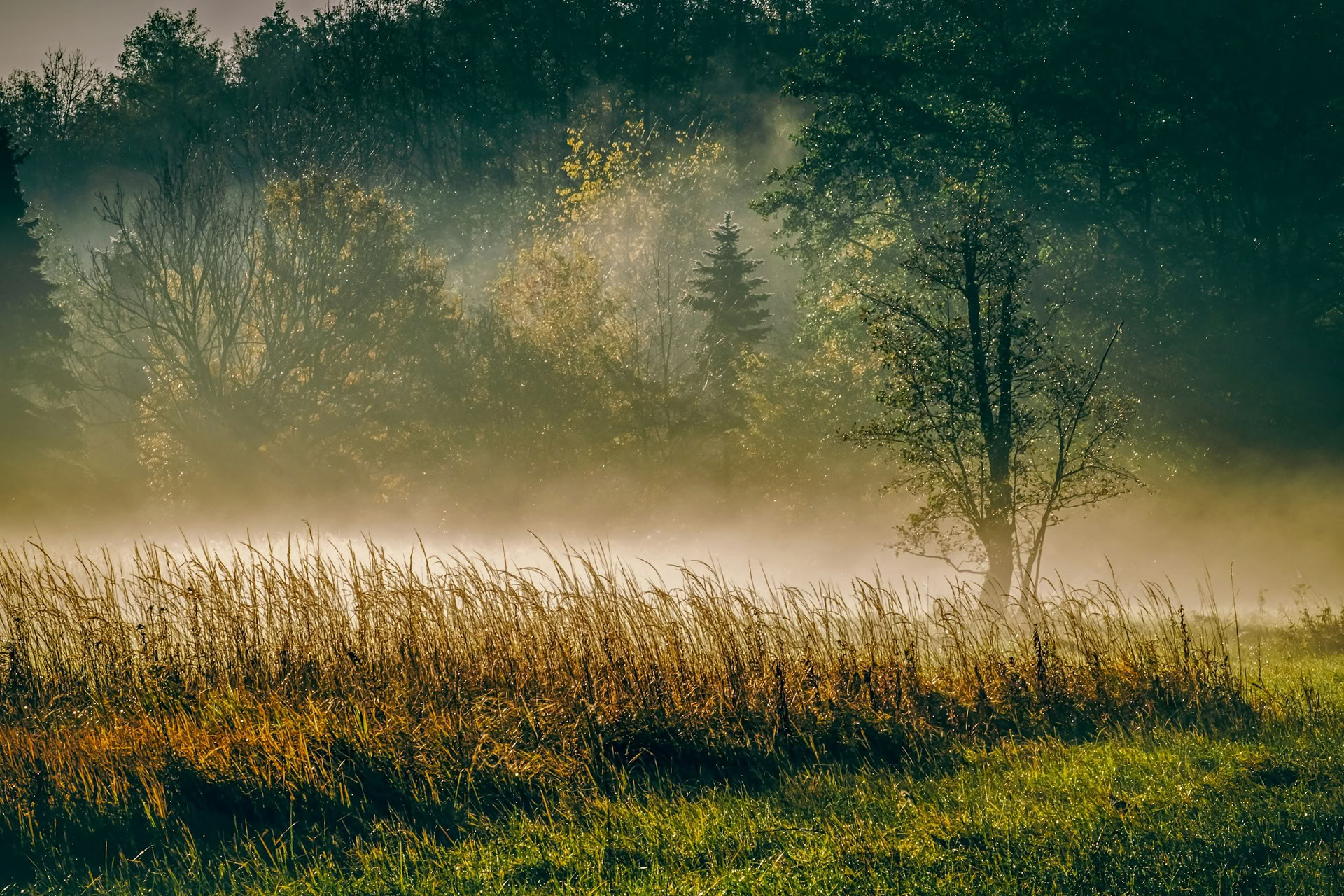 ForREST Retreat: Aardende herfstweekend — Wild Nature Retreats