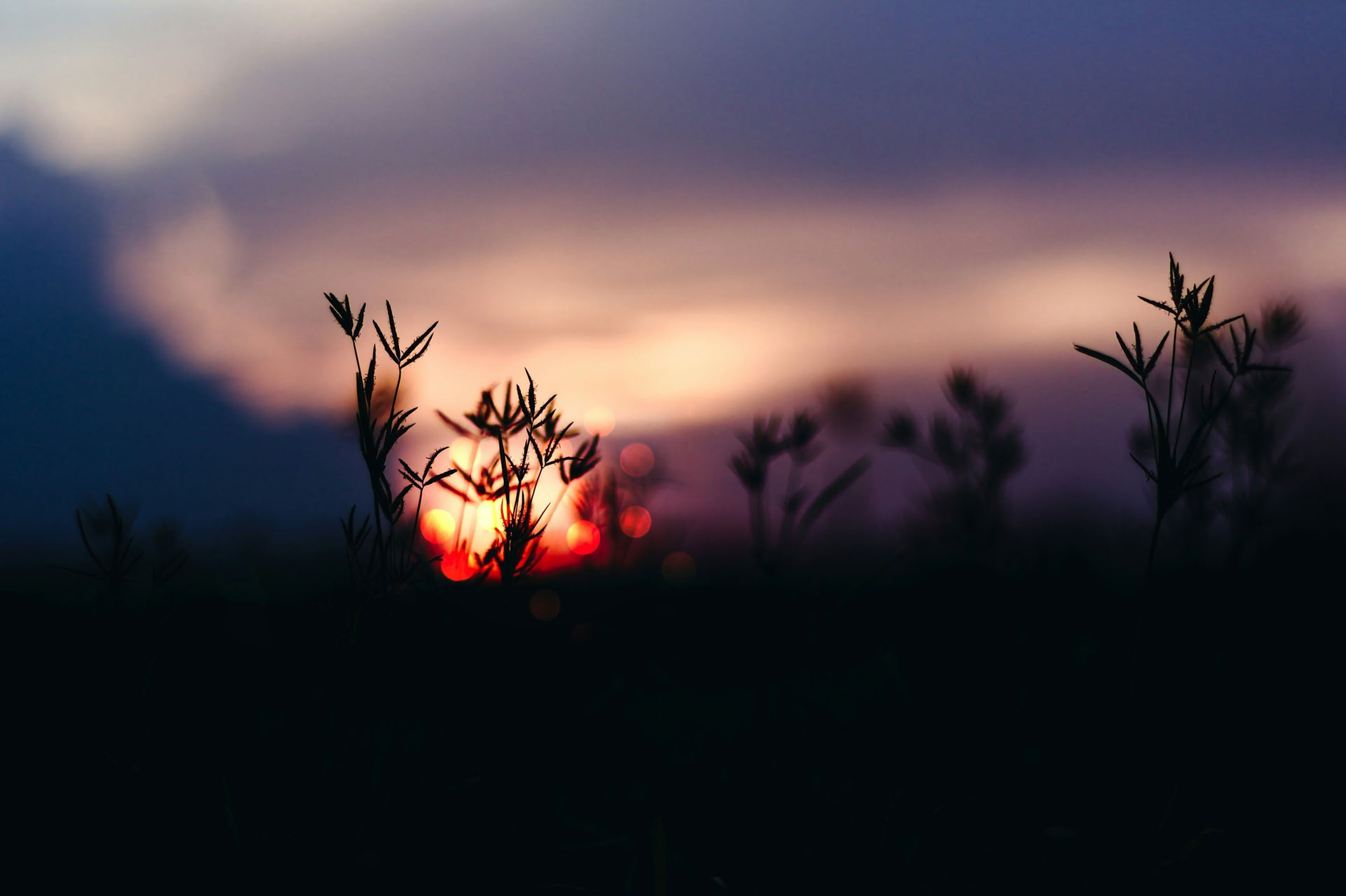 Zonnewende-retraiteserie: Herfst-equinoxviering met Erin Moe — Wild Nature Retreats