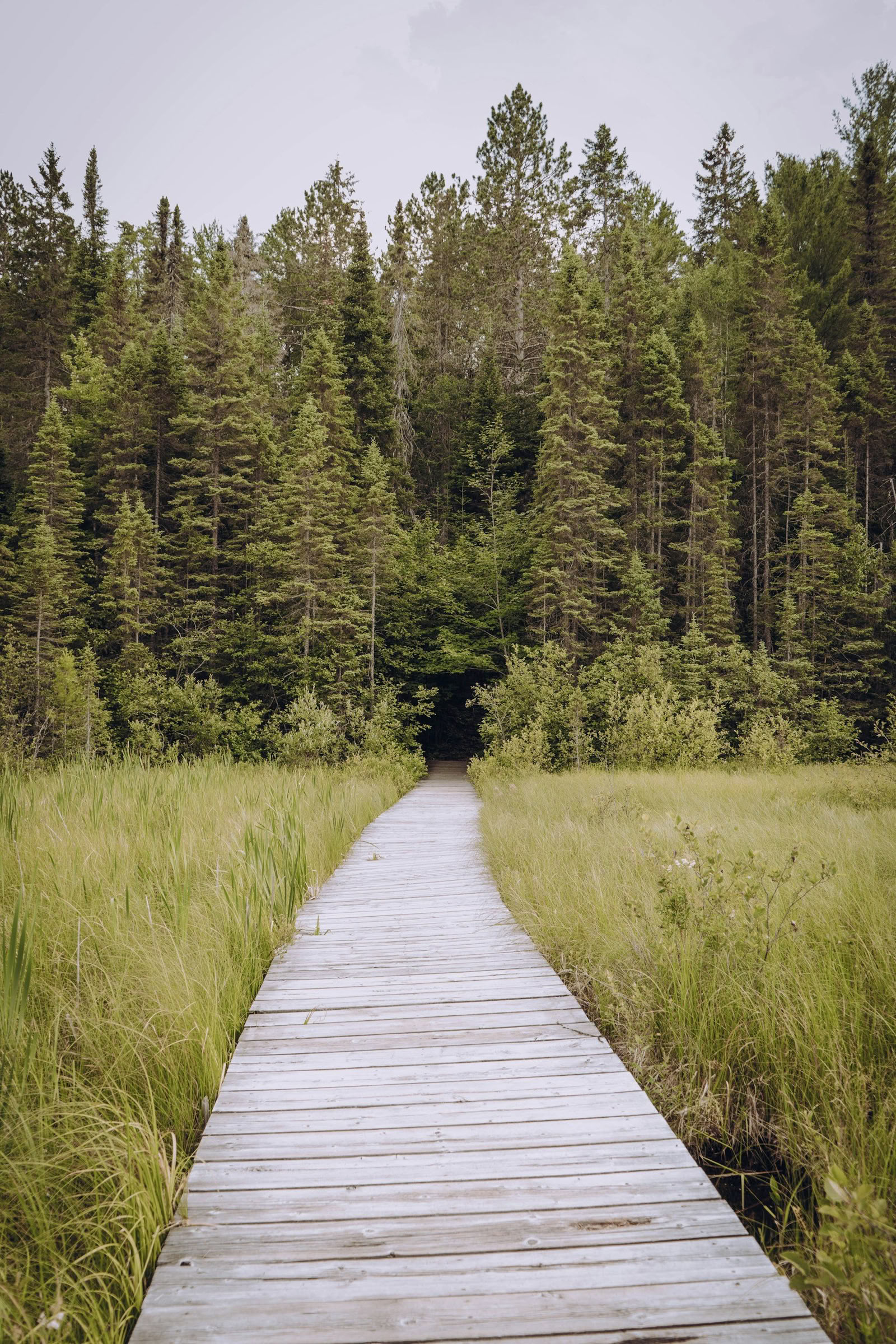 ForREST Retreat: Zomerse Vertraging