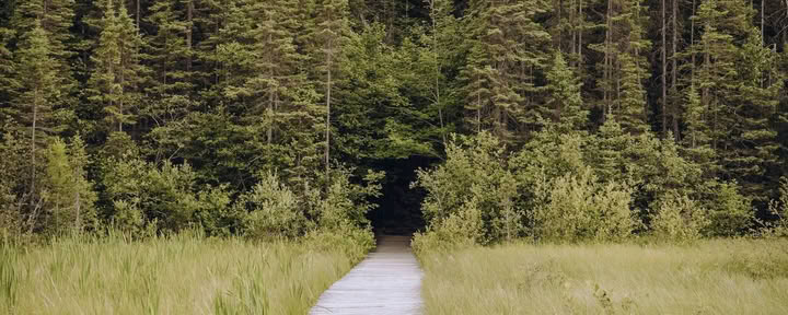 ForREST Retreat: Zomerse Vertraging