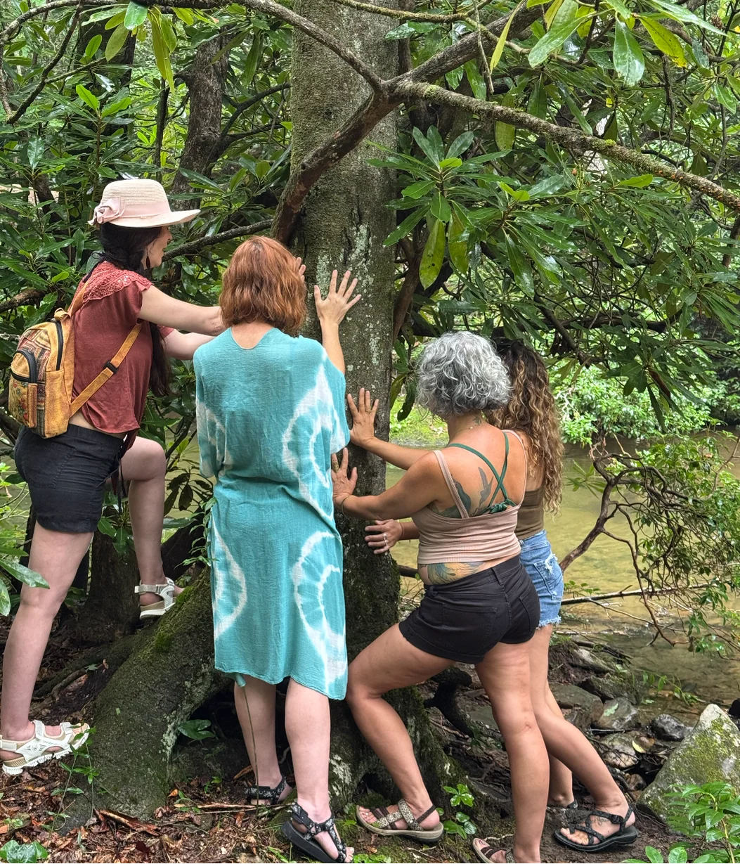2026 Vrouwen Herwildingsretreat