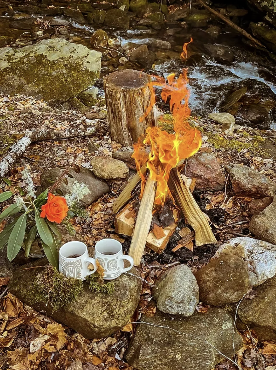 2026 Vrouwen Herwildingsretreat