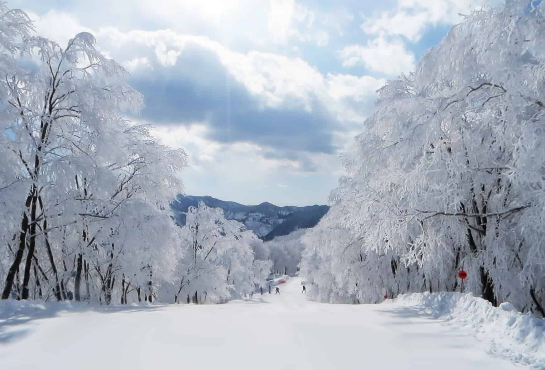 Sneeuwgodinnenretreat