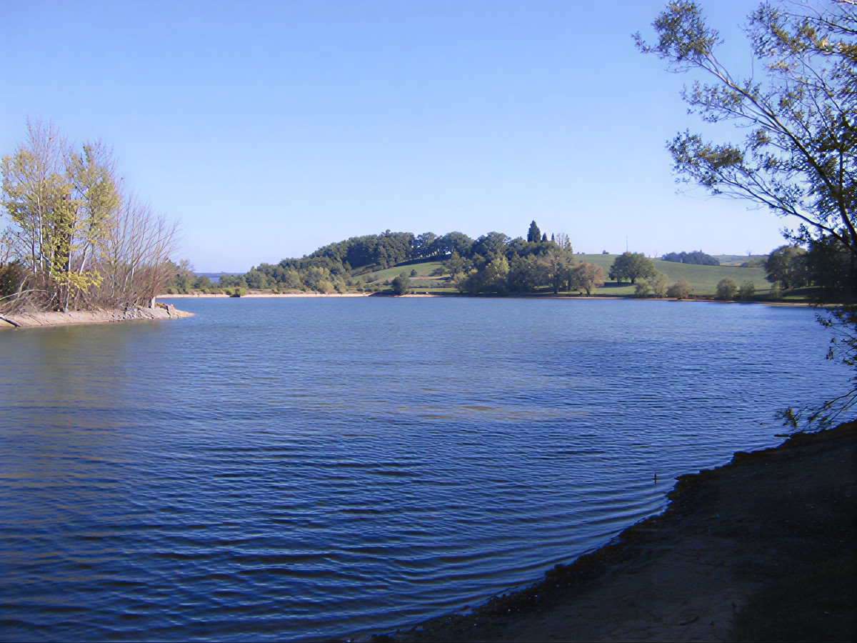 Wandelretreat voor welzijn