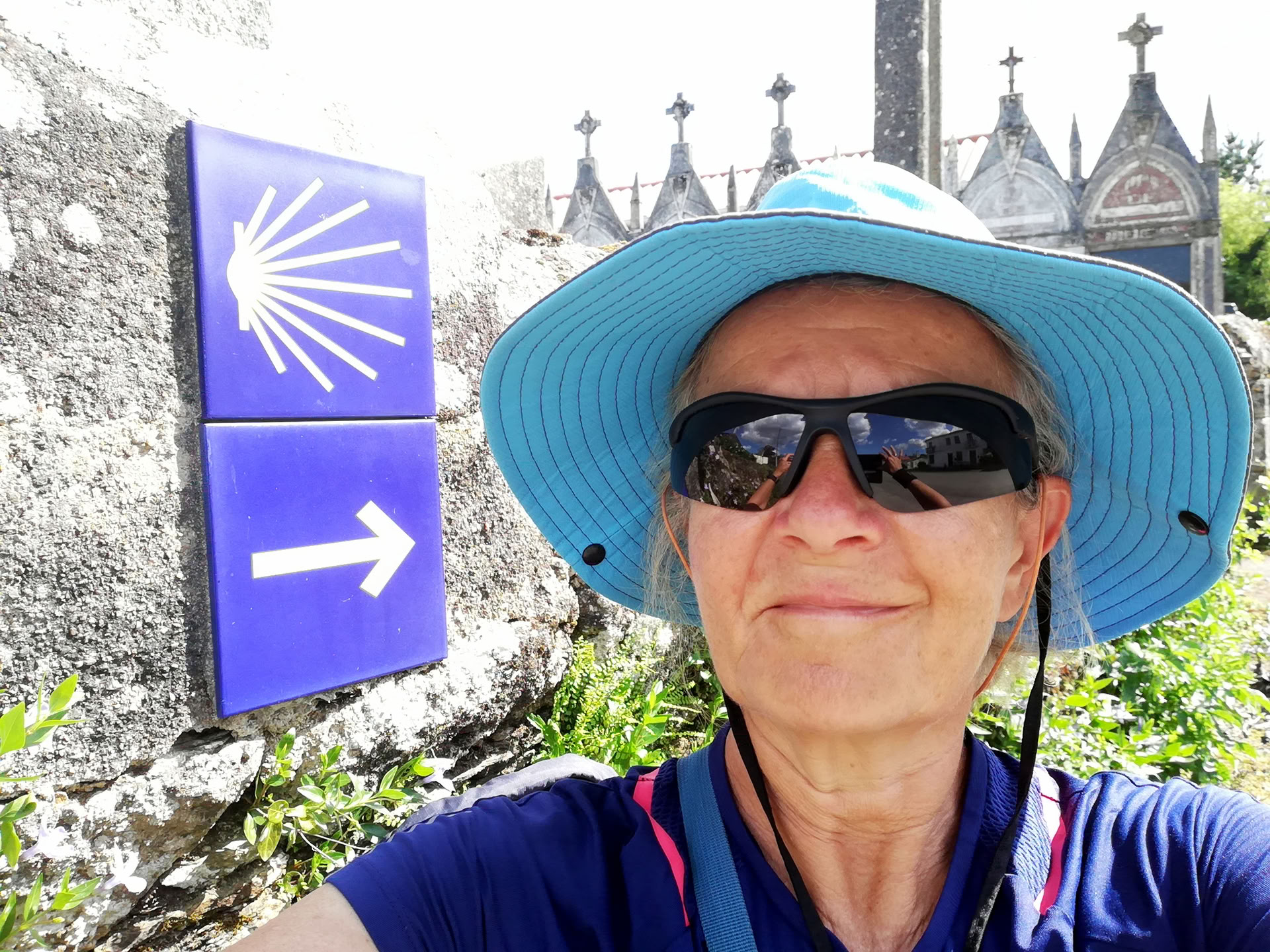 Camino Dromen