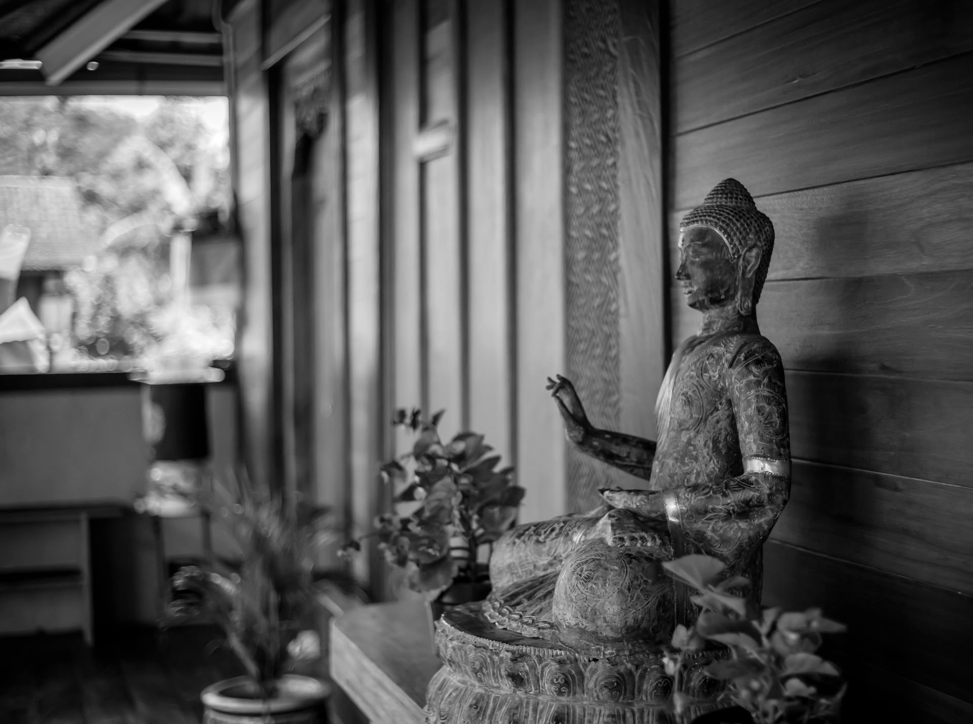 Stilteretraite voor meditatie
