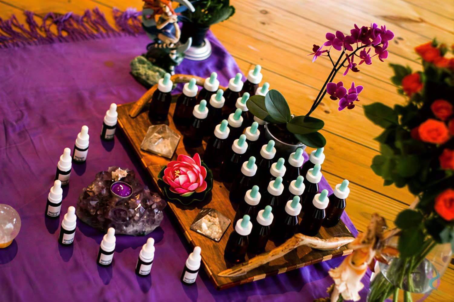 Phoenix Retreat – De Kracht Zit in Jou