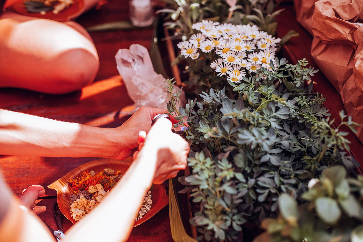 Phoenix Retreat – De Kracht Zit in Jou