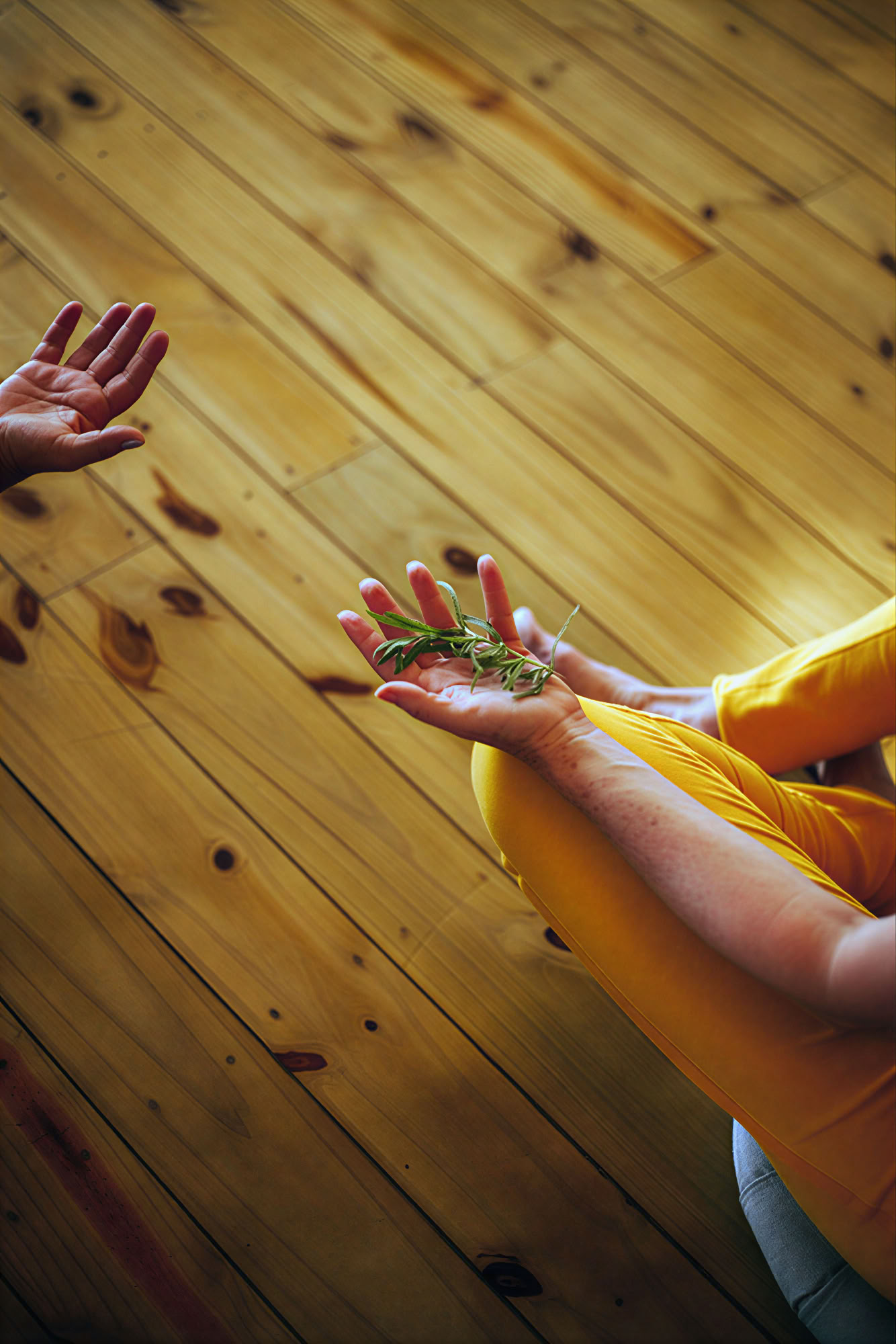 Phoenix Retreat – De Kracht Zit in Jou