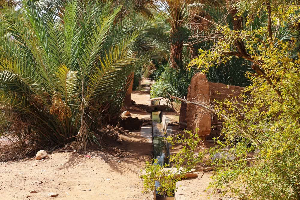 4-daagse tour van Casablanca naar Marrakesh via de woestijn