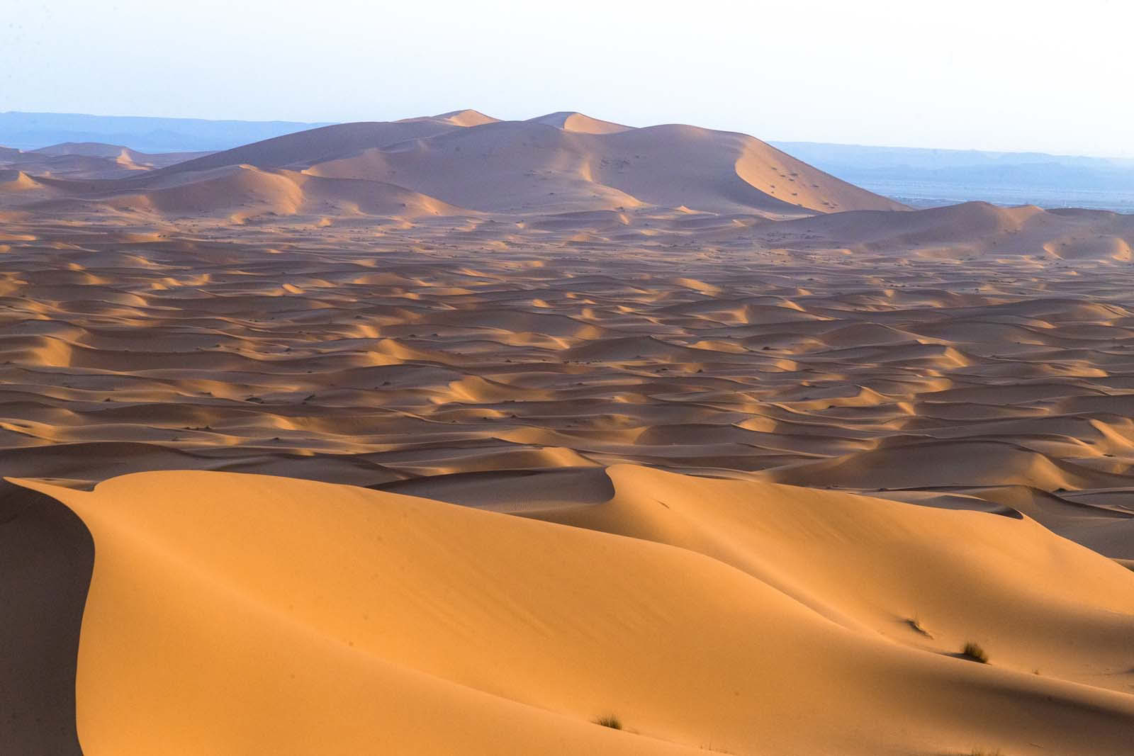 4-daagse tour van Casablanca naar Marrakesh via de woestijn