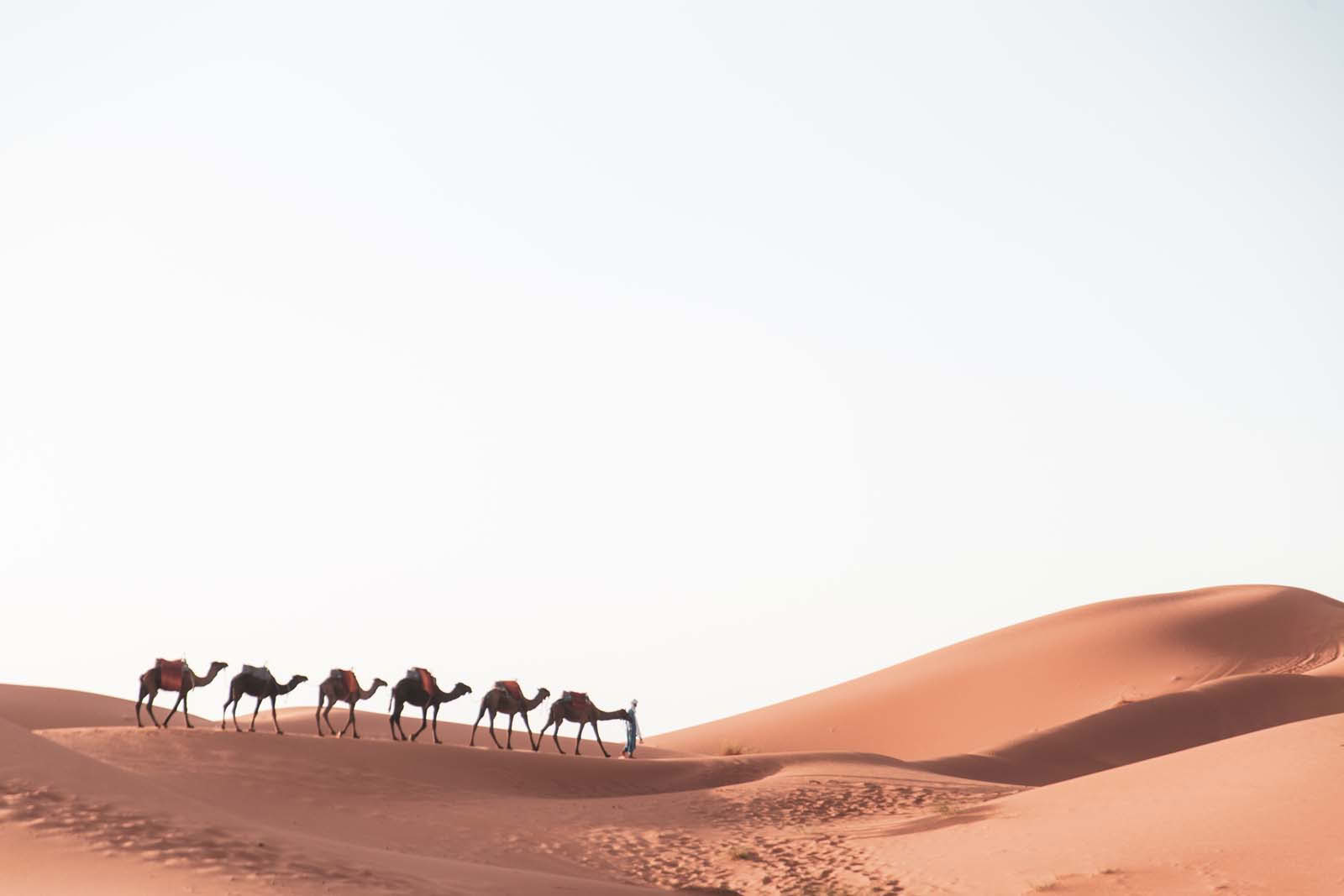 8 dagen van Agadir naar de Sahara en Marrakech