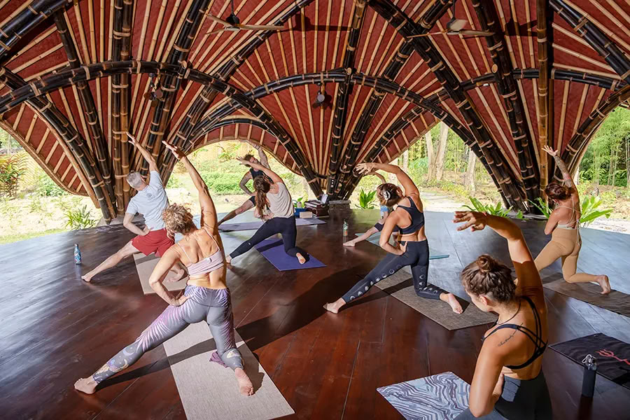 Vaidika Dharma: 100-uurs SPIRIT-yogaleraarstraining