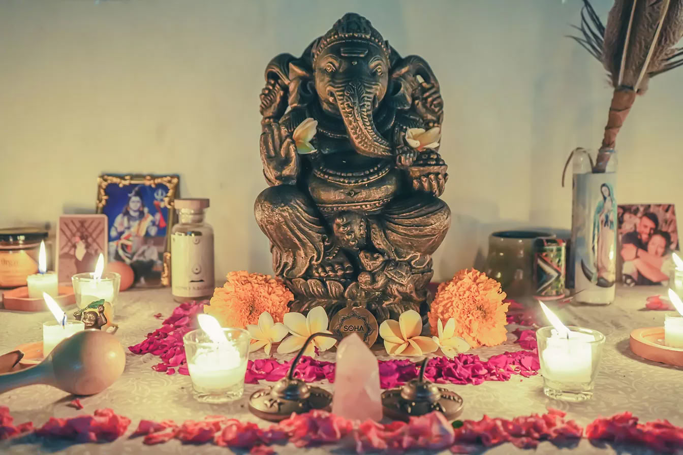 Vaidika Dharma: 100-uurs SPIRIT-yogaleraarstraining
