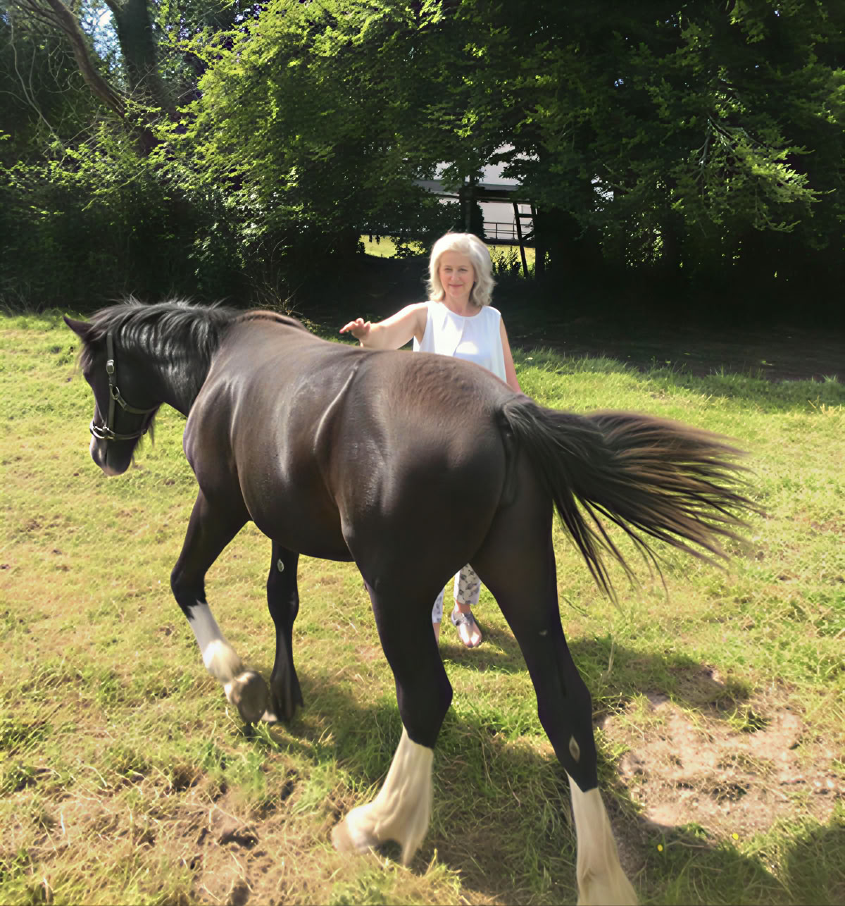 Paardentherapie 1-op-1