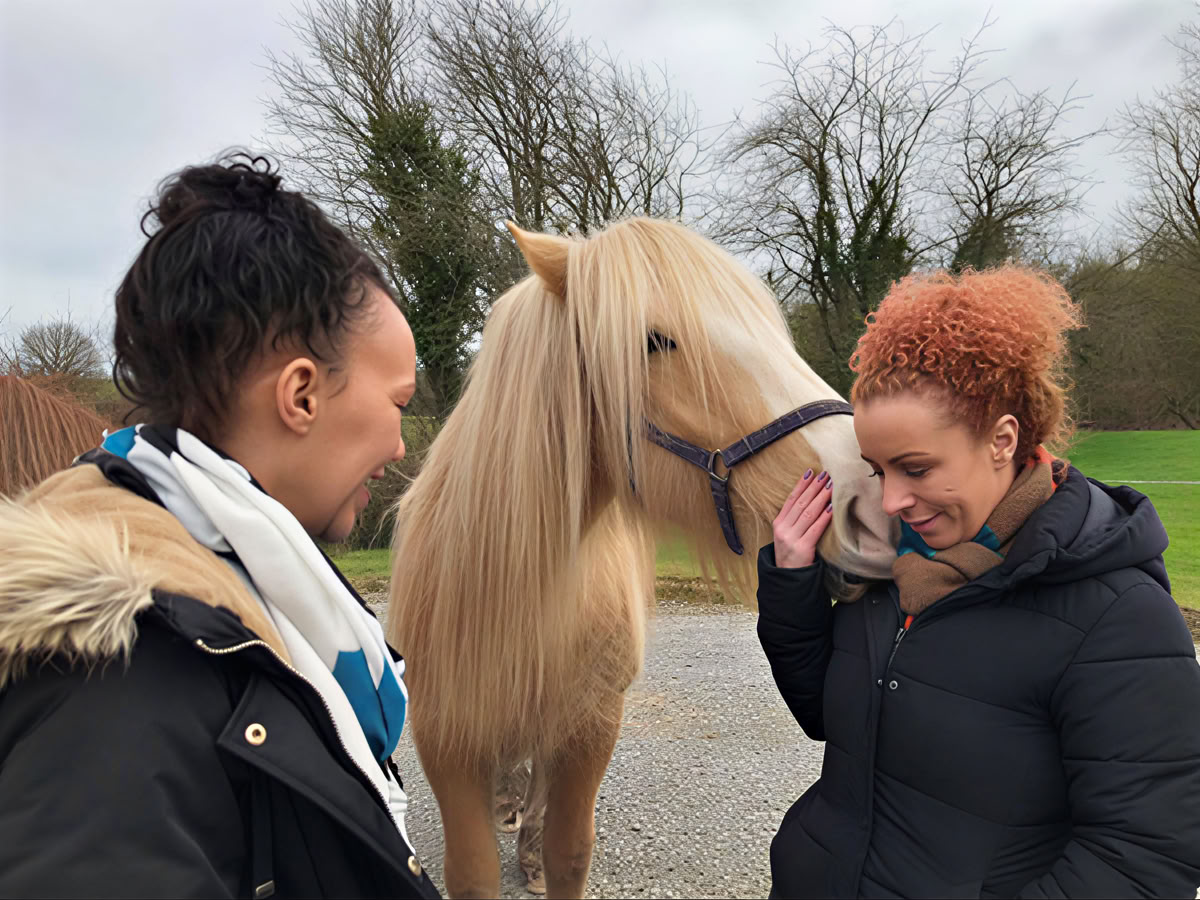 Paardentherapie 1-op-1