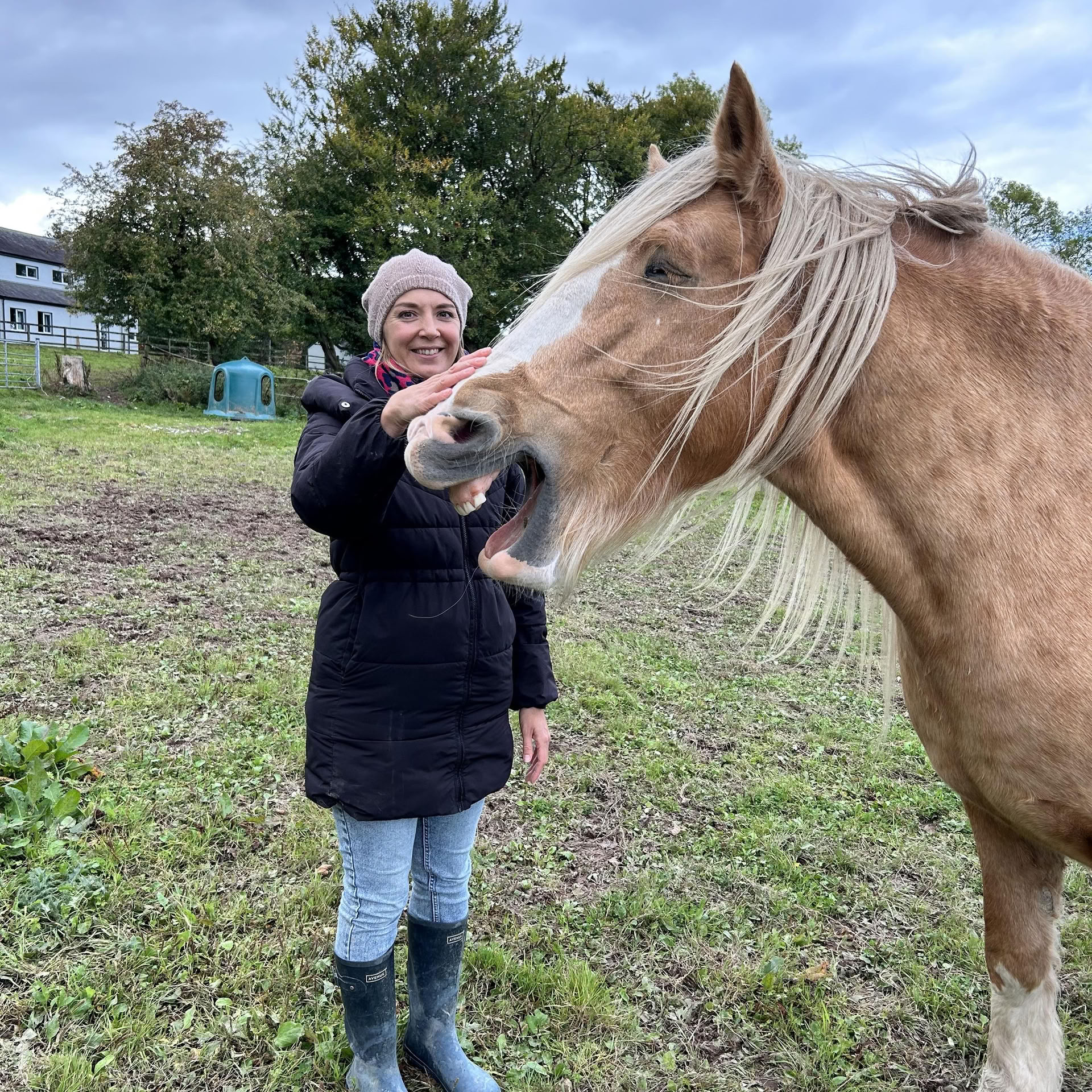 Stap in het partnerschap met de paarden